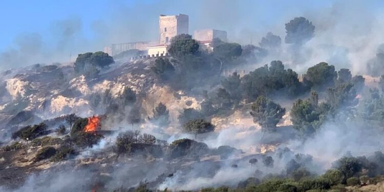 El Papa pide “esfuerzos valientes” ante el desafío del cambio climático tras los incendios