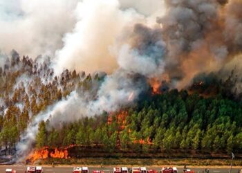 Estudio exige gestión integral de riesgo de incendios forestales