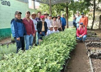 Voluntarios unidos para reforestar en Santa Cruz del Quiché