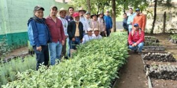Voluntarios unidos para reforestar en Santa Cruz del Quiché