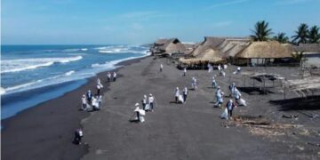 Jornadas de limpieza y reforestación mejoran el medioambiente de Escuintla