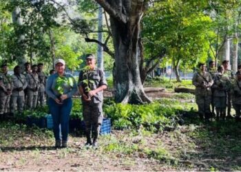 MARN planta más de dos mil árboles con apoyo de voluntarios en Petén