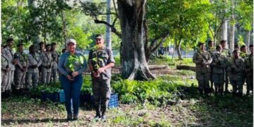MARN planta más de dos mil árboles con apoyo de voluntarios en Petén