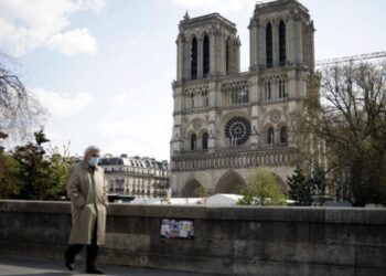Llegan a Notre Dame de París vigas de madera para reconstrucción de la catedral