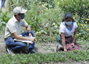 Benefician a proveedores del Programa de Alimentación Escolar en Chiquimula