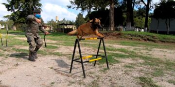 Apoyo canino en Unidades del Ejército de Guatemala