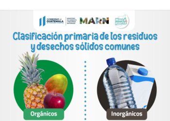 Clasificación