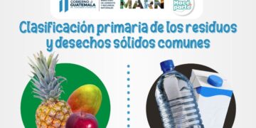 Clasificación