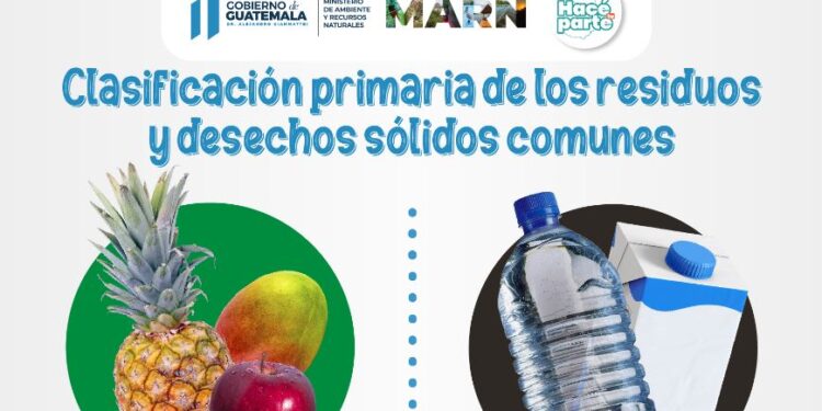 Clasificación