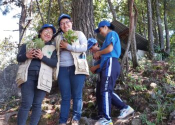 Continúan estrategias de reforestación en Sololá