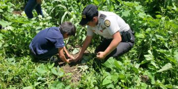 Actividad de reforestación en caserío La Vega, Colotenango, Huehuetenango. / Foto: PNC.