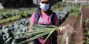 Guatemala ofrece una gran variedad de productos a la región centroamericana. /Foto: DCA