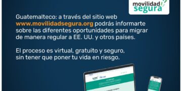 programa de movilidad segura