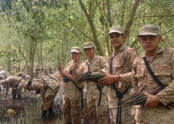 Efectúan jornada de reforestación de mangle en La Blanca, San Marcos