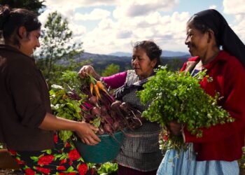 Establecen acciones para mitigar los efectos del cambio climático en la seguridad alimentaria. /Foto: SESAN