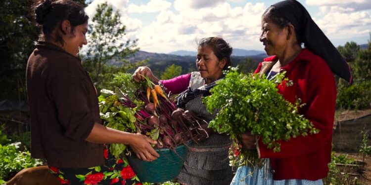 Establecen acciones para mitigar los efectos del cambio climático en la seguridad alimentaria. /Foto: SESAN