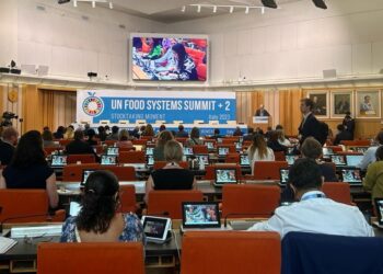 Política de seguridad alimentaria en Italia. /Foto: SESAN