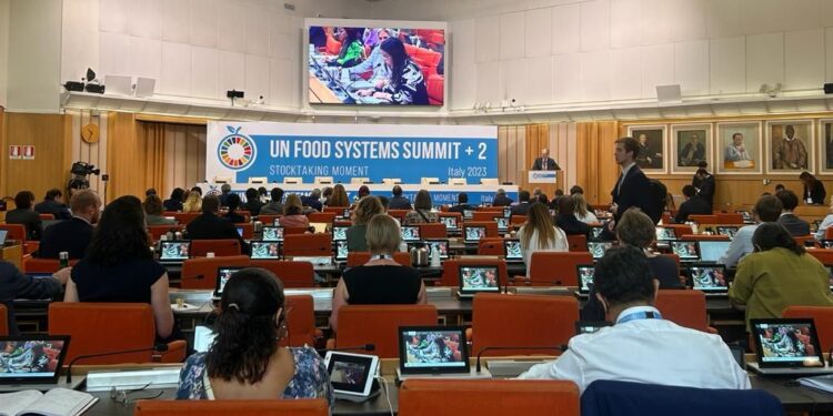 Política de seguridad alimentaria en Italia. /Foto: SESAN