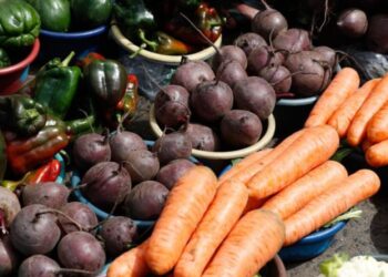 Inicia Cumbre de Alimentos de las Naciones Unidas. /Foto: MAGA y SESAN