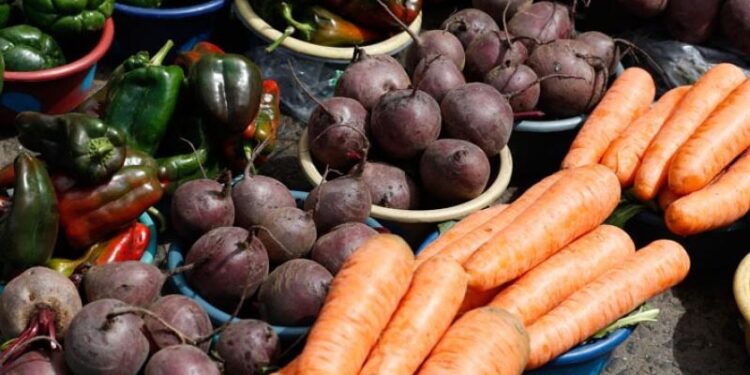 Inicia Cumbre de Alimentos de las Naciones Unidas. /Foto: MAGA y SESAN