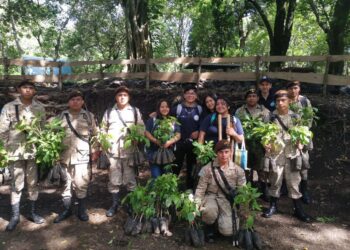 Impulsan jornada de reforestación en Sacatepéquez