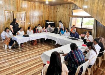 Sostienen reunión de la Comisión Departamental de la Mujer en Izabal