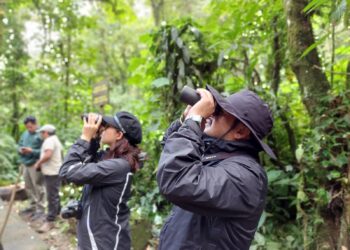 Desarrollan curso de aviturismo para fortalecer atención turística en San Marcos