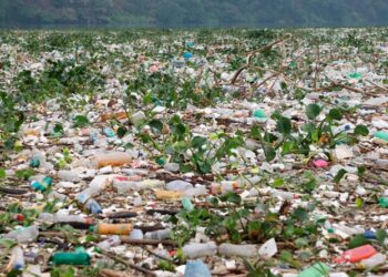 Publican reformas al Reglamento 164-2021, gestión de residuos sólidos