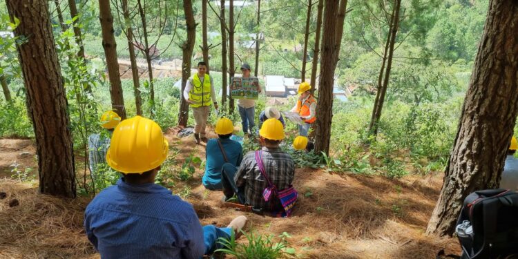 Apoyo con incentivos forestales en San Miguel Chicaj, Baja Verapaz.