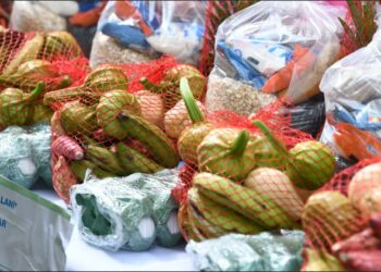 Entrega de alimentación escolar