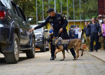 22 binomios K-9 fortalecen a la PNC y el sistema penitenciario