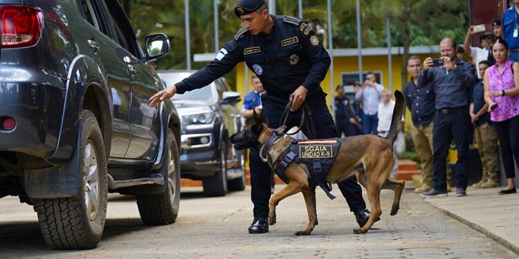 22 binomios K-9 fortalecen a la PNC y el sistema penitenciario
