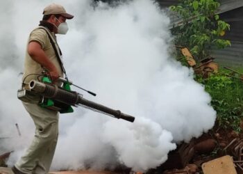 Guatemala combate brote de zancudos por condiciones climáticas
