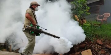 Guatemala combate brote de zancudos por condiciones climáticas