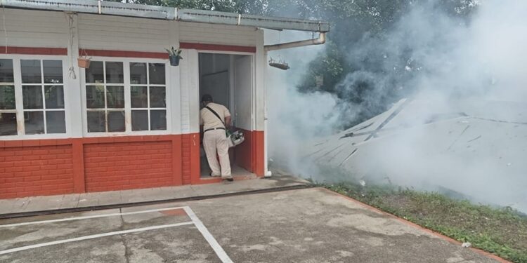 Intensifican acciones para la prevención del dengue. /Foto: MSPAS
