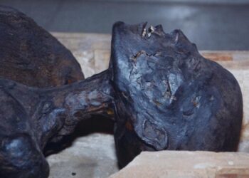 Momia egipcia de la sacerdotisa Esoeris. / Foto: Museo de Historia del Arte de Uruguay.