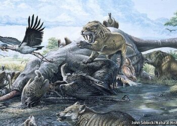 Pozos de brea conservaron fósiles de especies hoy extintas. / Foto: John Sibbick, Museo de Historia Natural.