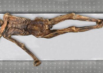 Ötzi tuvo varias reconstrucciones y esta ocasión las tecnologías muestran una muy diferente. / Foto: Südtiroler Archäologiemusem, Marco Samadelli Eurac, Gregor Staschitz.