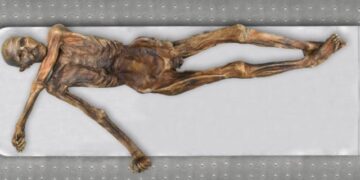 Ötzi tuvo varias reconstrucciones y esta ocasión las tecnologías muestran una muy diferente. / Foto: Südtiroler Archäologiemusem, Marco Samadelli Eurac, Gregor Staschitz.