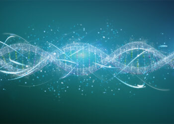 La fórmula abarca tejidos de múltiples mamíferos. / Foto: Universidad de Sevilla.