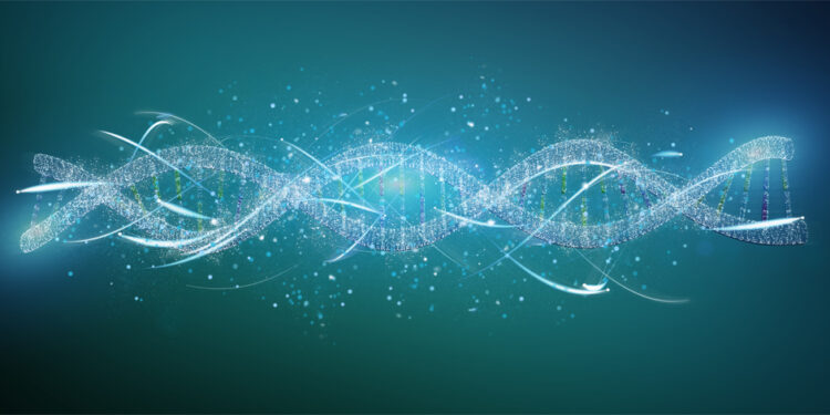 La fórmula abarca tejidos de múltiples mamíferos. / Foto: Universidad de Sevilla.