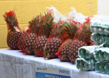 Entrega de alimentación escolar. /Foto: Carlos Jacinto