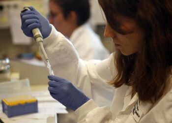 No se consideraba que el timo tuviera células madre "verdaderas". / Foto: EFE Salud.