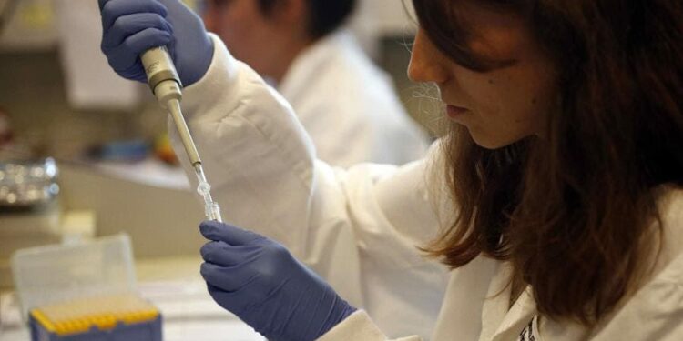 No se consideraba que el timo tuviera células madre "verdaderas". / Foto: EFE Salud.