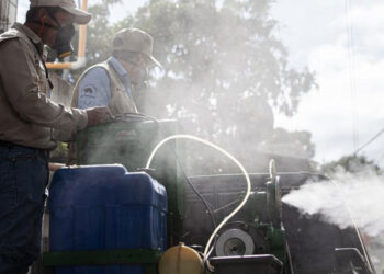 Mspas insta a zacapanecos a cuidarse del dengue