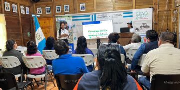 Fortalecen acciones para el cumplimiento del Reglamento 164-2021 en Izabal