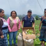 Impulsan huertos familiares en Quetzaltenango