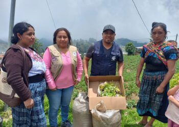 Huertos familiares en Quetzaltenango. /Foto: SESAN