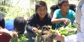 Estudiantes de Huehuetenango recolectan productos de los huertos escolares. /Foto: Gobernación Departamental de Huehuetenango