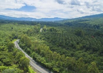 El Gobierno reitera compromiso para la prevención de incendios forestales